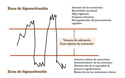 Terapia de trauma, TEPT, trastornos disociativos, TCA, TOC, relaciones tóxicas con narcisistas