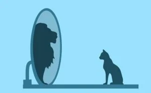 Psicólogos en Galapagar Psicología: tratamiento de la ansiedad, depresión, trastorno obsesivo compulsivo...